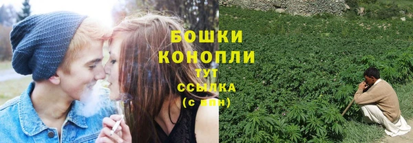сатива Балабаново