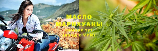 сатива Беломорск