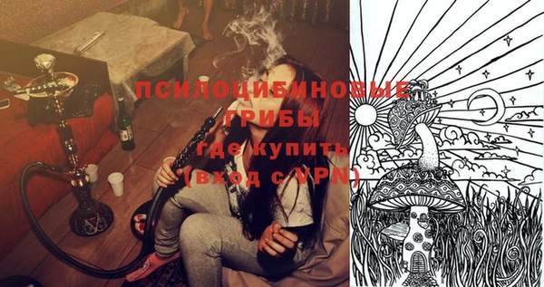 сатива Балабаново